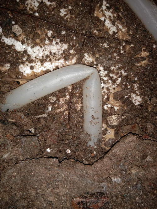 迭部堵点精准查找